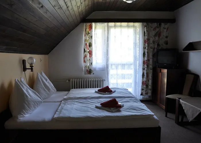 Horsky Hanicka فندق